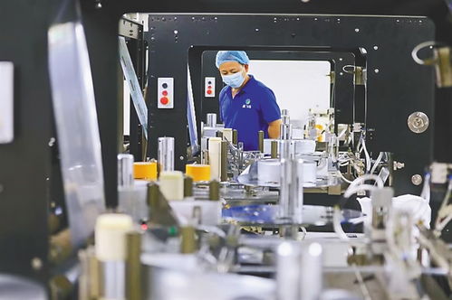 共享定安新機遇，投資興業正當時 專業投資咨詢助力您的成功之路